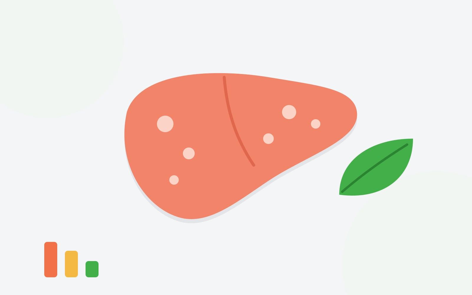 Illustration of a liver with a green leaf and three bars getting smaller